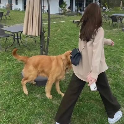 幸福终点站